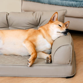 Luxe lit pour chien orthopédique grand en cuir synthétique pliable - Extérieur