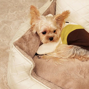 Lit pour chien carré en faux cuir Cozy Diamond pour chiots