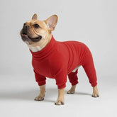 Pyjama polaire confortable pour chien vêtements de nuit idéaux pour grands chiens