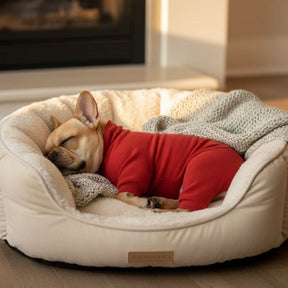 Pyjama polaire confortable pour chien vêtements de nuit idéaux pour grands chiens