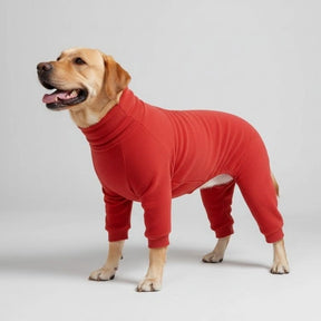 Pyjama polaire confortable pour chien vêtements de nuit idéaux pour grands chiens