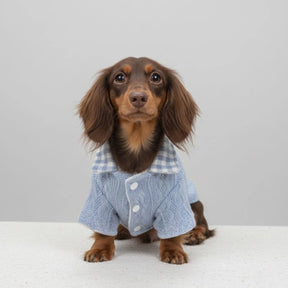 Pull en tricot confortable pour chien avec col à carreaux – Disponible en rose et bleu