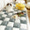 Housse de canapé en coton chic et protectrice pour animaux de compagnie