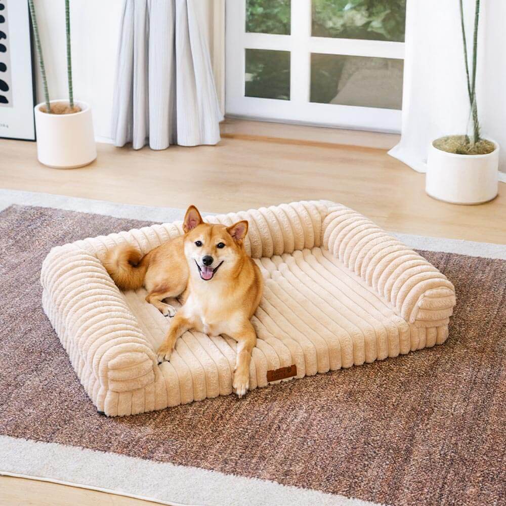 Canapé lit orthopédique pour chien et chat couleur crème moelleux et confortable