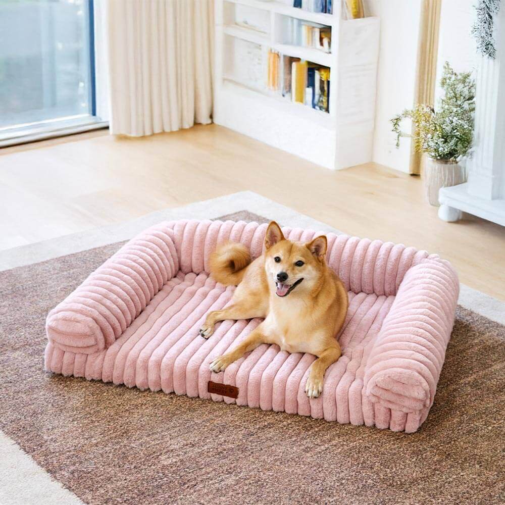 Canapé lit orthopédique pour chien et chat couleur crème moelleux et confortable
