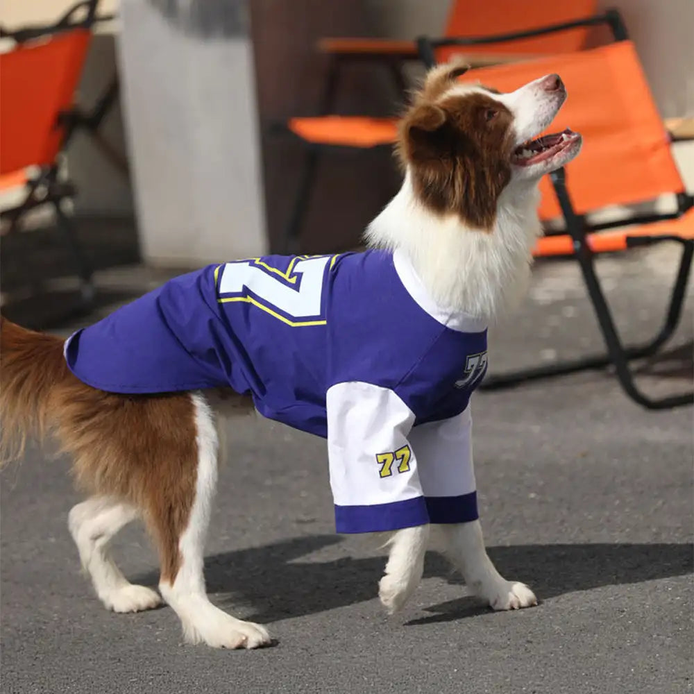 T-shirt pour chien à col rond, respirant et lavable, toutes races
