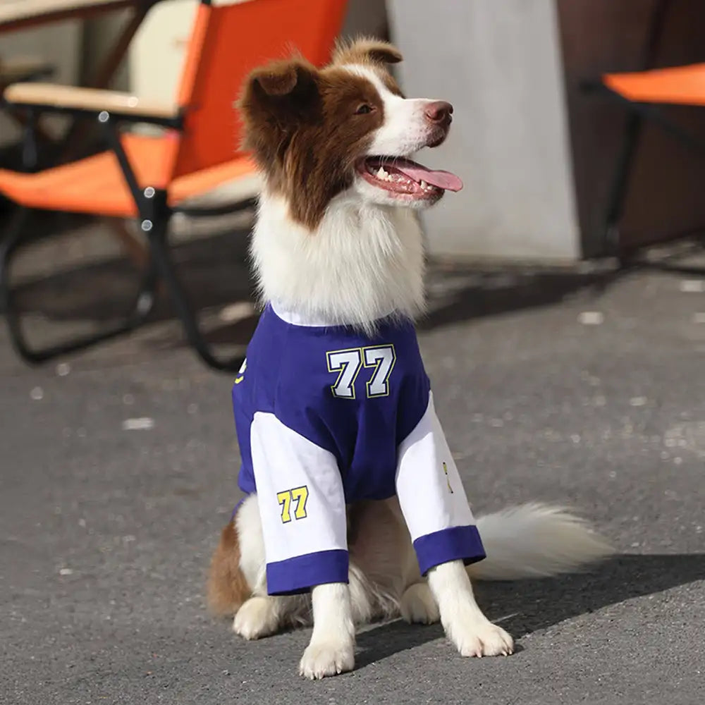 T-shirt pour chien à col rond, respirant et lavable, toutes races