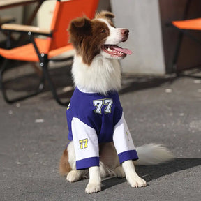 T-shirt pour chien à col rond, respirant et lavable, toutes races