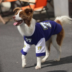 T-shirt pour chien à col rond, respirant et lavable, toutes races