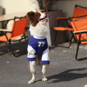 T-shirt pour chien à col rond, respirant et lavable, toutes races