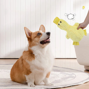 Ensemble de jouets interactifs à mâcher pour chien amusant