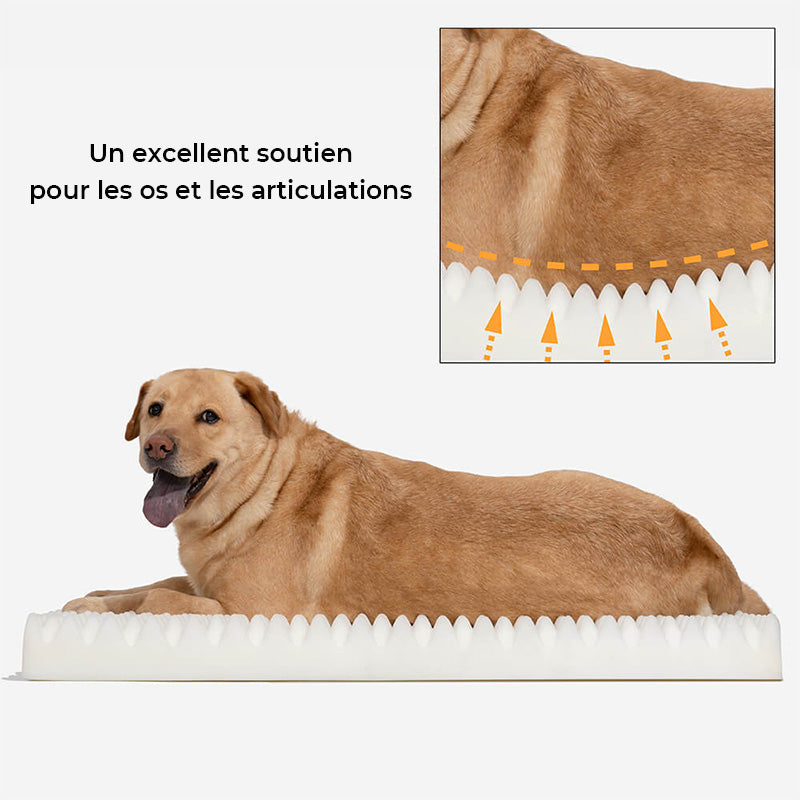 Grand lit de luxe pour chien pour soulager l'anxiété