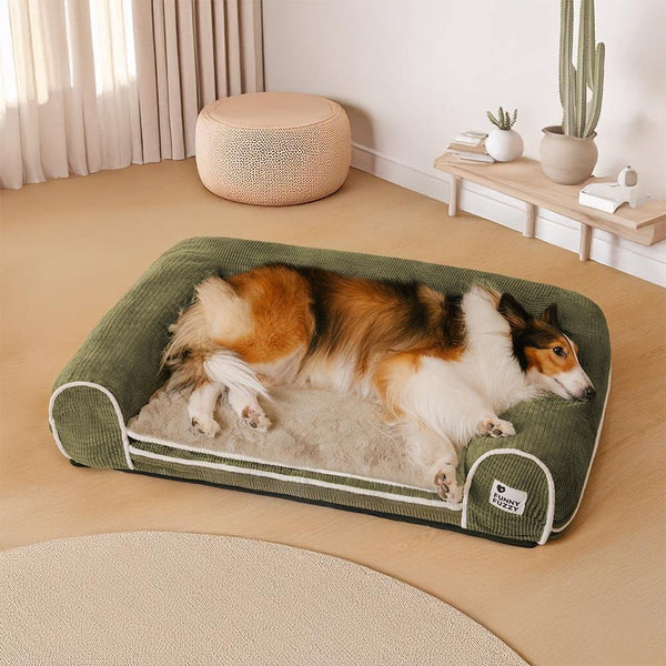 Canapé-lit orthopédique double couche en flanelle pour chien