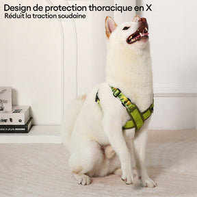 Harnais réglable en X et laisse pour chien - Résistant