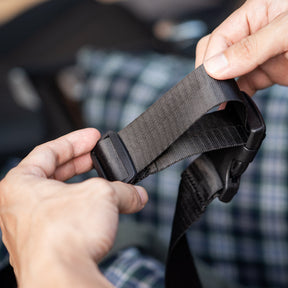 Ceinture de sécurité pour chien Sangles réglables multifonctions