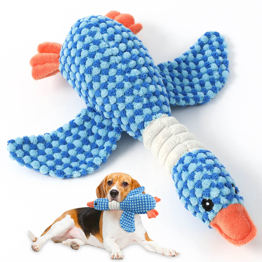 Jouet résistant aux morsures de chien avec sifflet - Oiseau