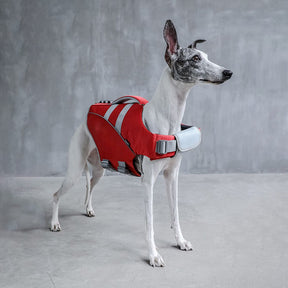 Gilet de sauvetage pour chien - Maître-nageur