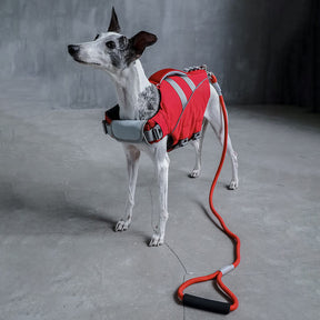 Gilet de sauvetage pour chien - Maître-nageur