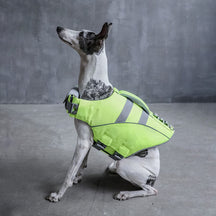 Gilet de sauvetage pour chien - Maître-nageur