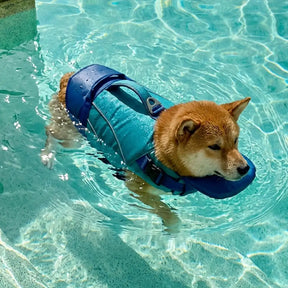 Gilet de sauvetage pour chien avec support de menton amovible