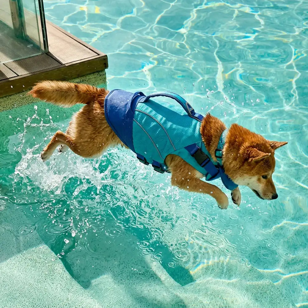 Gilet de sauvetage pour chien avec support de menton amovible