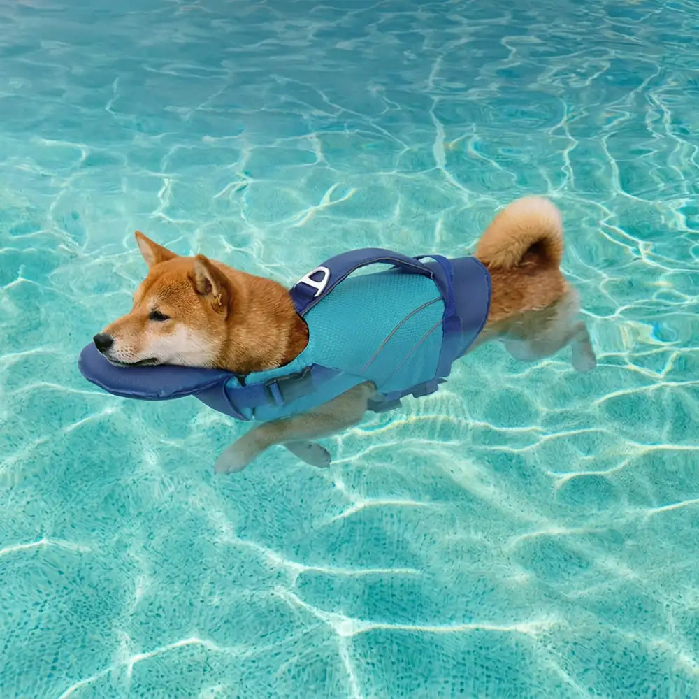 Gilet de sauvetage pour chien avec support de menton amovible