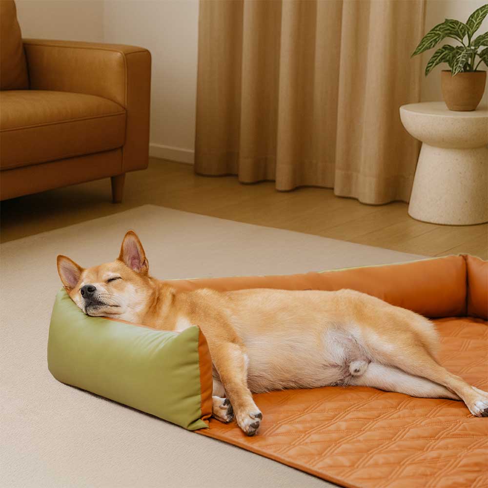 Housse de canapé pour chien en similicuir imperméable luxe