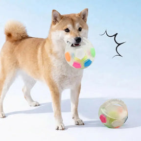 Balle de soccer pour chien avec poignée, jouet de mastication flottant