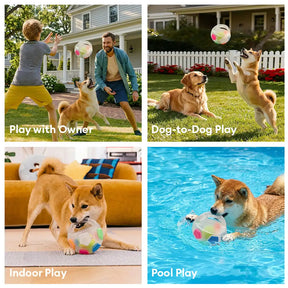 Balle de soccer pour chien avec poignée, jouet de mastication flottant