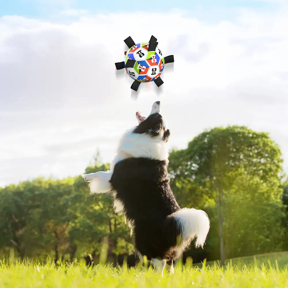 Boule de soccer pour chien avec des sangles, jouet interactif