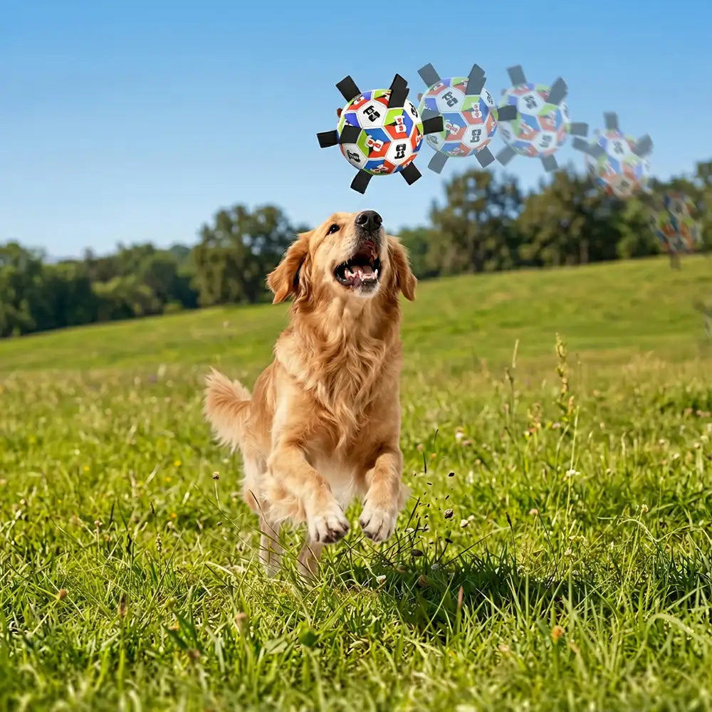 Boule de soccer pour chien avec des sangles, jouet interactif