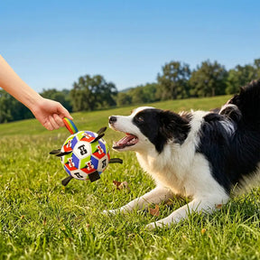 Boule de soccer pour chien avec des sangles, jouet interactif