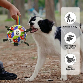 Boule de soccer pour chien avec des sangles, jouet interactif