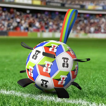 Boule de soccer pour chien avec des sangles, jouet interactif