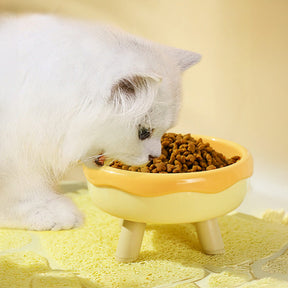 Bol pour animaux avec protection de cou surélevée en forme de donut