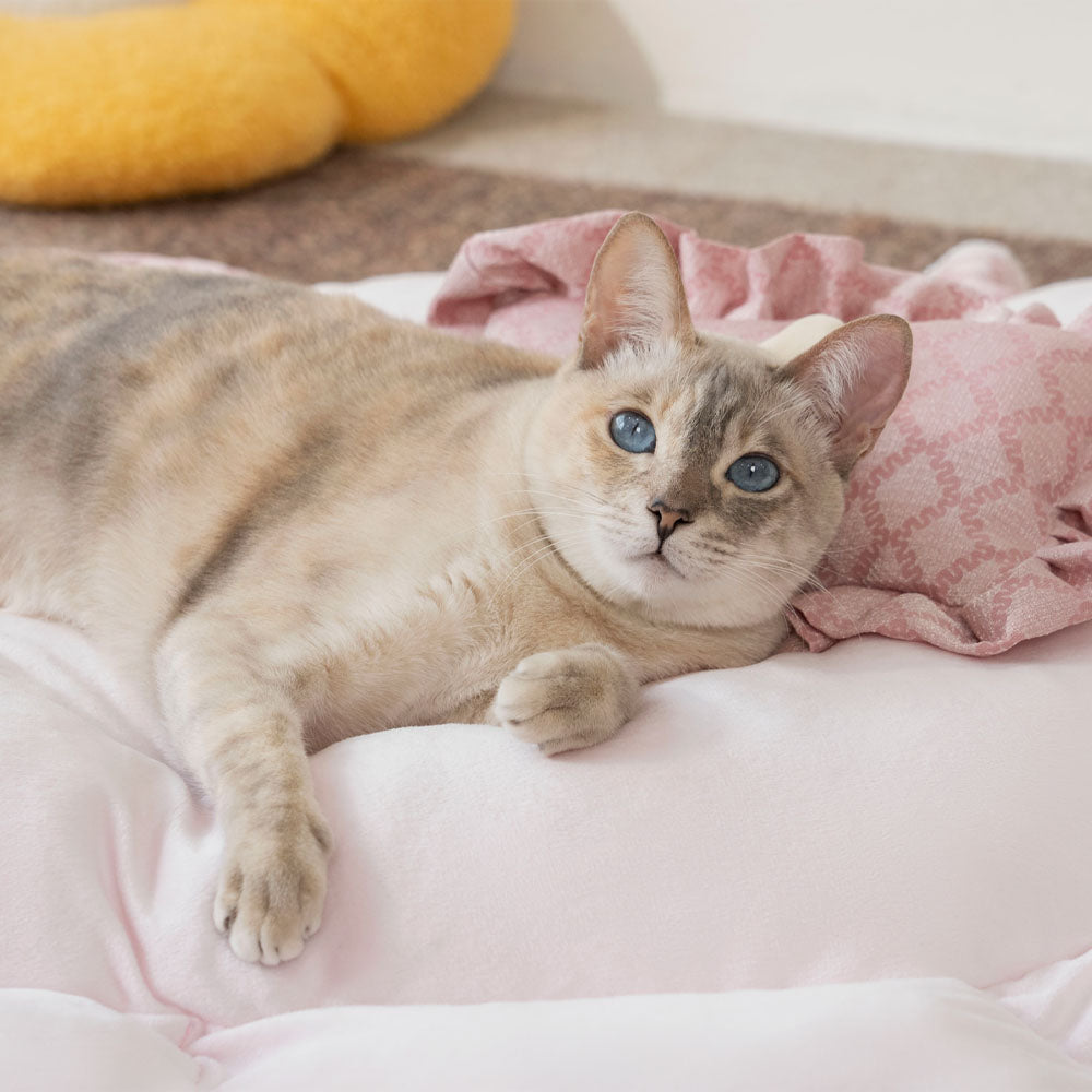 Matelas rond pour chat à cordon lavable et multifonctionnel - Floral Night Napper