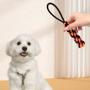 Jouet pour Chien en Corde Durable - Jouet Interactif pour Dents et Mastication