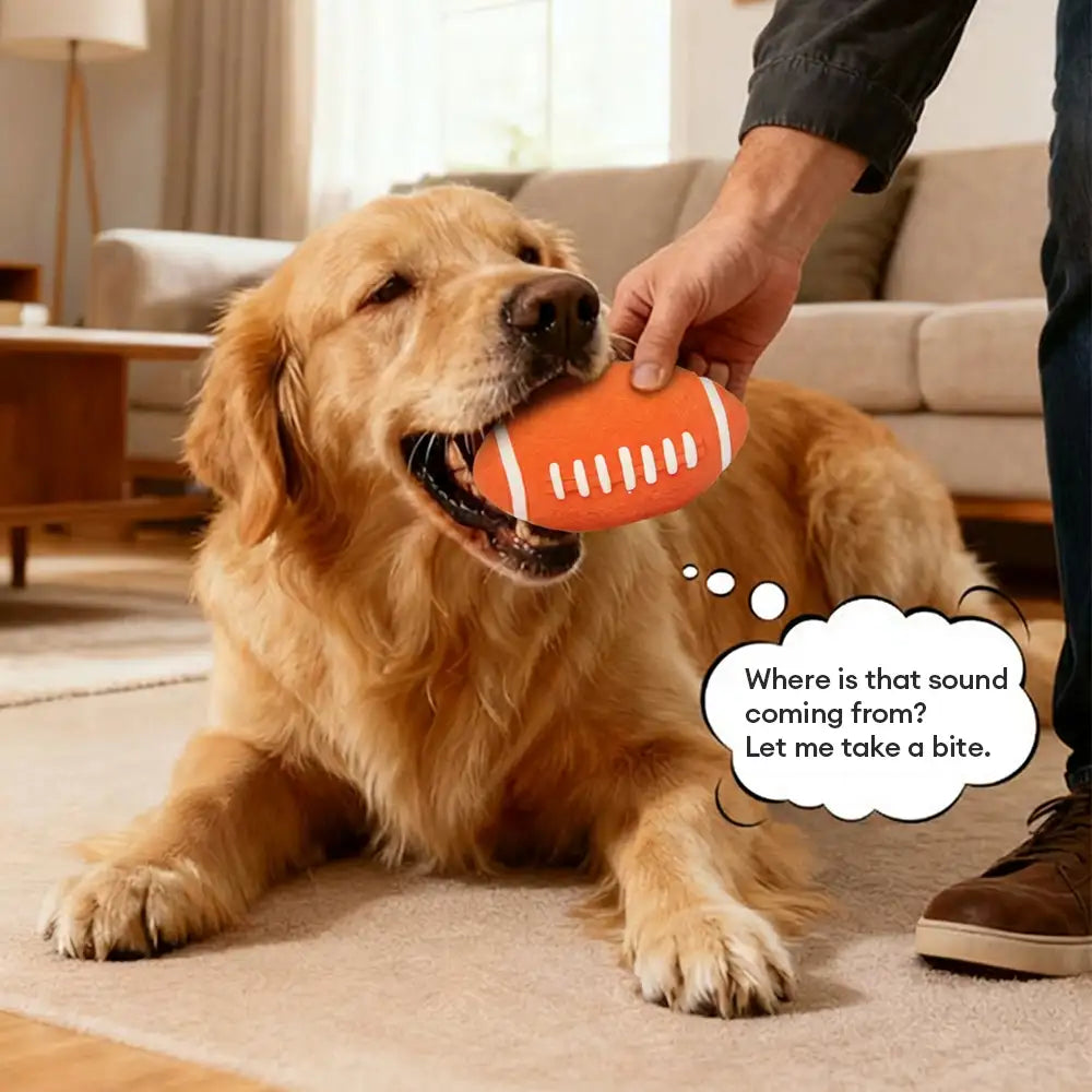 Jouet à mâcher pour chien en latex durable avec bruitage.