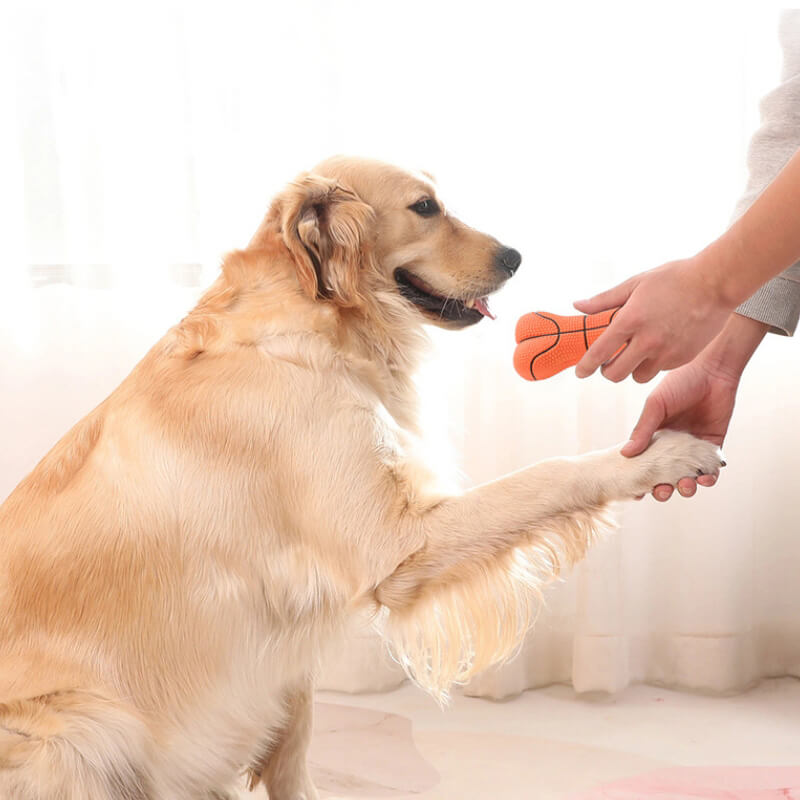 Jouet Os Squeaky Résistant Pour Chien