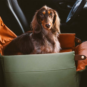 Siège d'auto pour chien surélevé en similicuir luxe - Urban Voyager