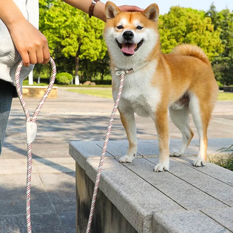 Laisse Pour Chien En Nylon Tressé Anti-Explosion Et Anti-Traction