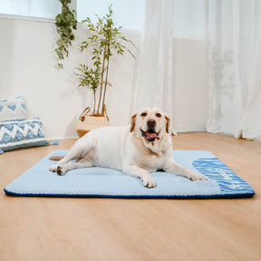 Grand Tapis Rafraichissant Chien Lavable Antidérapant pour Chiens d'Extérieur - Sieste Refroidissante