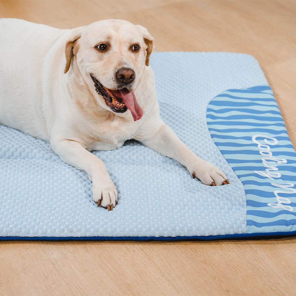 Grand Tapis Rafraichissant Chien Lavable Antidérapant pour Chiens d'Extérieur - Sieste Refroidissante