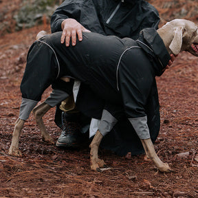 Imperméable à capuche à col roulé léger et imperméable à quatre pattes avec cordon de serrage réfléchissant pour chien et propriétaire