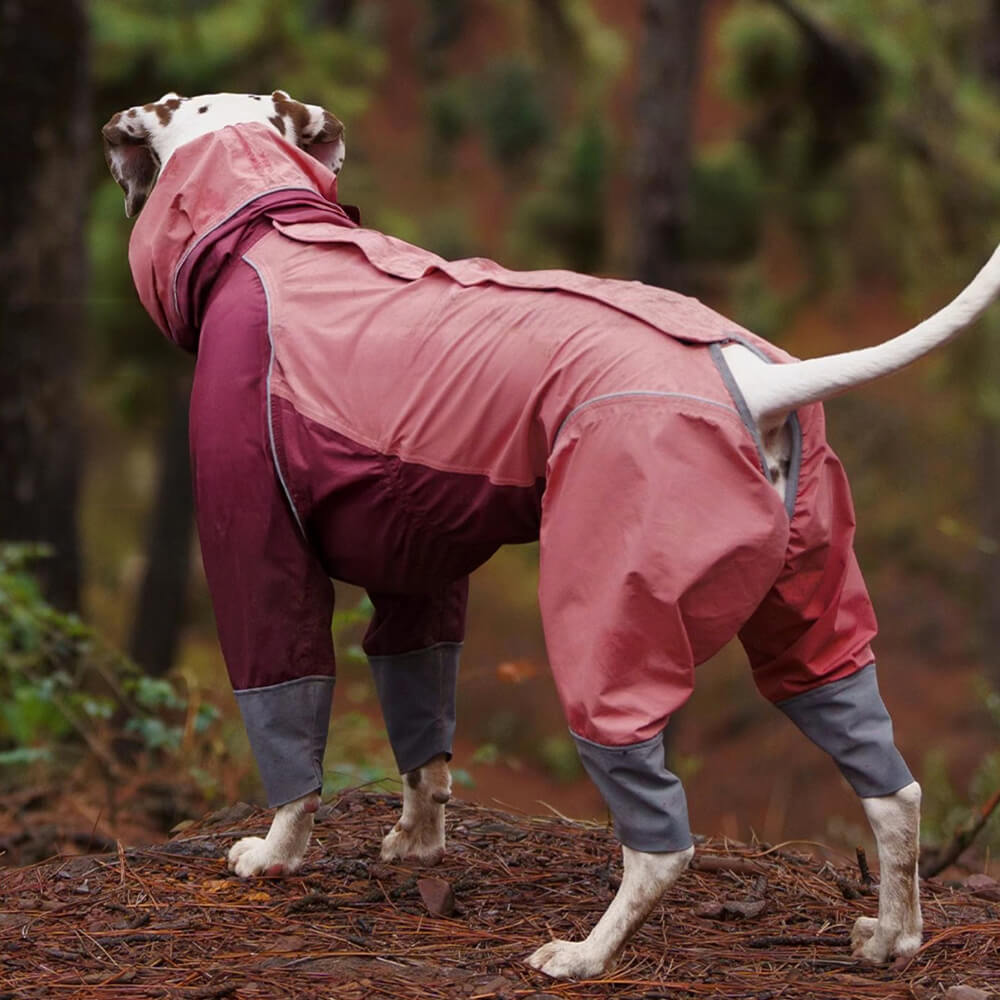 Imperméable Réfléchissant Ajustable Grande Taille pour Chien et Humain Assorti