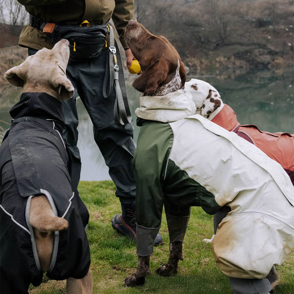 Imperméable à capuche à col roulé léger et imperméable à quatre pattes avec cordon de serrage réfléchissant pour chien et propriétaire