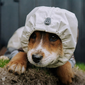 Imperméable à capuche à col roulé léger et imperméable à quatre pattes avec cordon de serrage réfléchissant pour chien et propriétaire