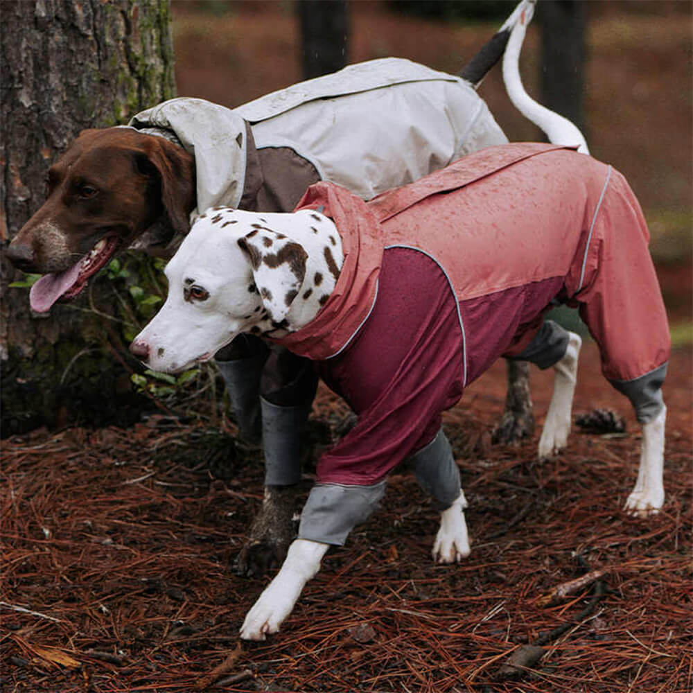 Imperméable à capuche à col roulé léger et imperméable à quatre pattes avec cordon de serrage réfléchissant pour chien et propriétaire