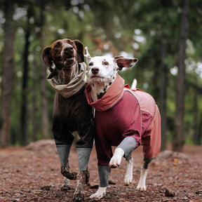 Imperméable à capuche à col roulé léger et imperméable à quatre pattes avec cordon de serrage réfléchissant pour chien et propriétaire