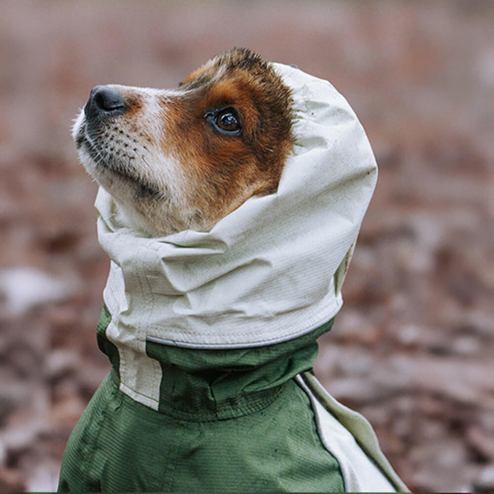 Imperméable à capuche à col roulé léger et imperméable à quatre pattes avec cordon de serrage réfléchissant pour chien et propriétaire